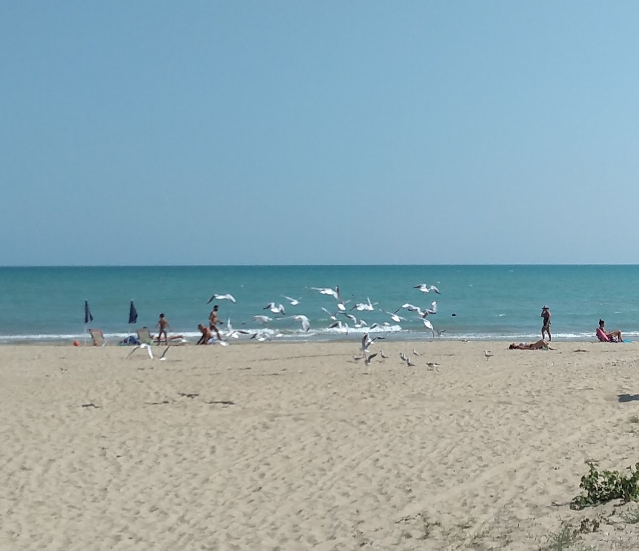 Stabilimento Balneare Waikiki Beach