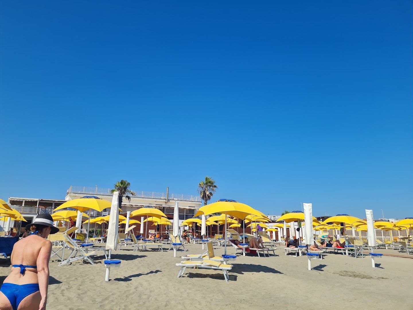 Stabilimento Il Delfino Ostia