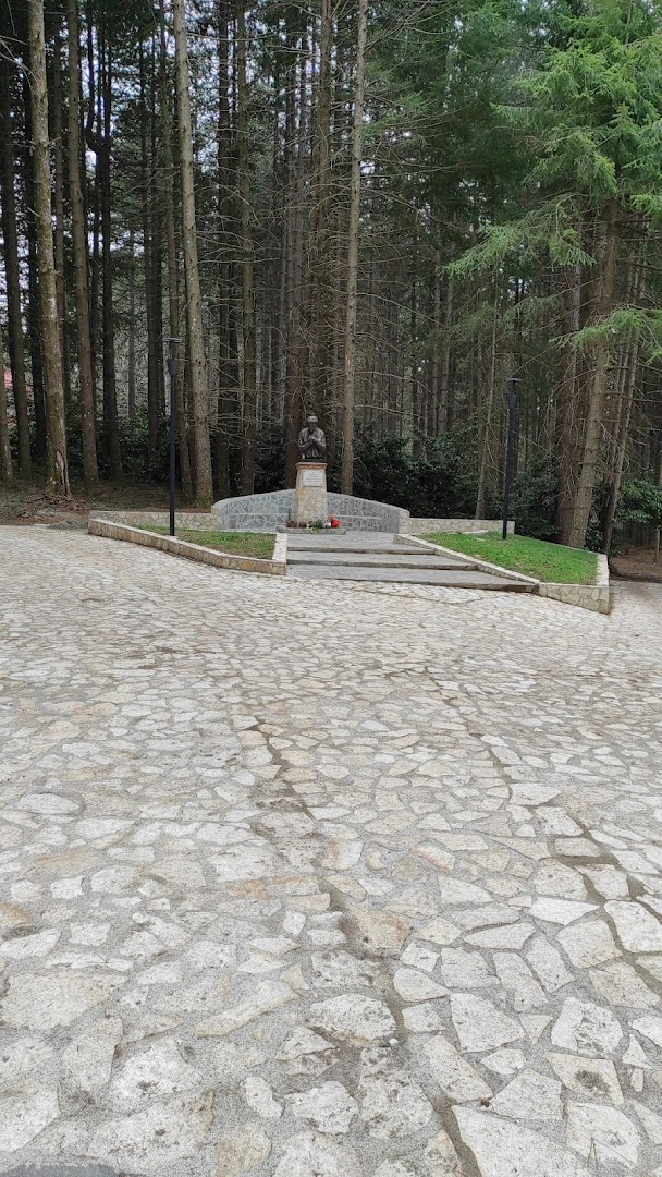 Statua di Natuzza Evolo, Taverna