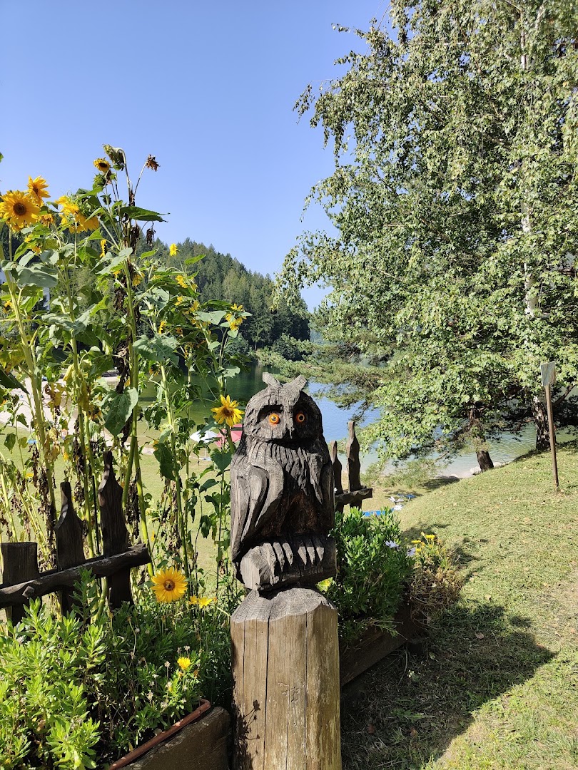 Statua Gufo, Bedollo