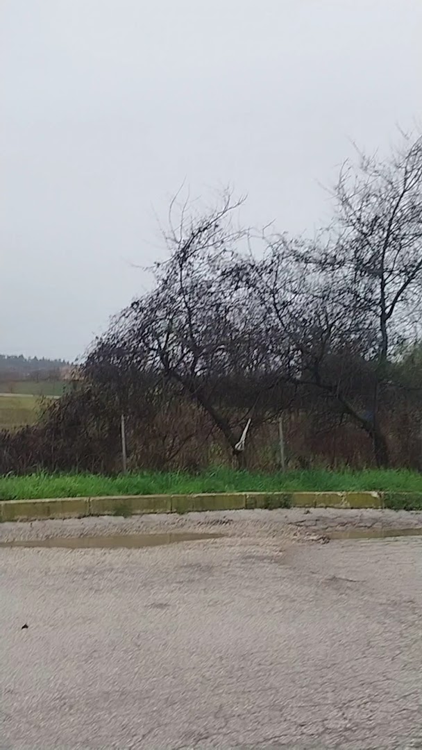 Stazione di Servizio Eni