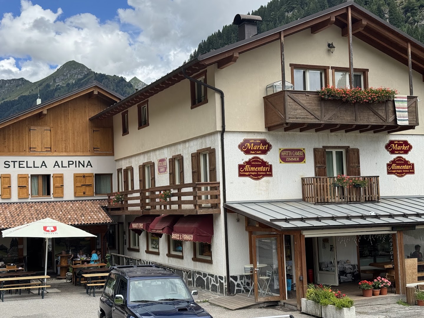 Stella Alpina