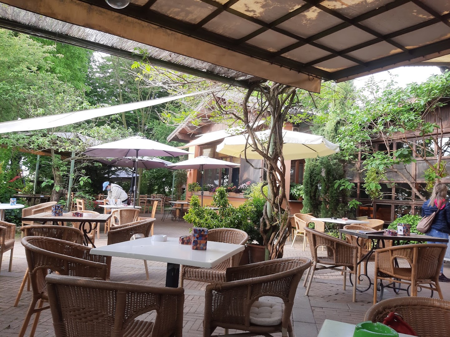 Stella | Bar Ristorante