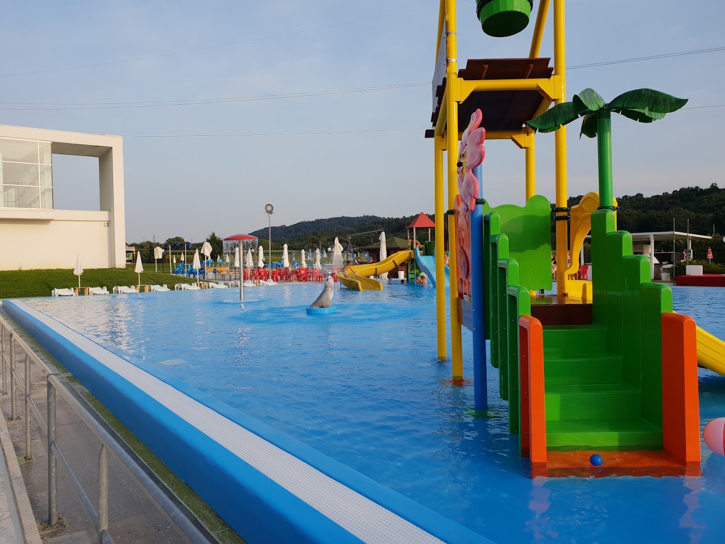 Stile Nuoto Quadri