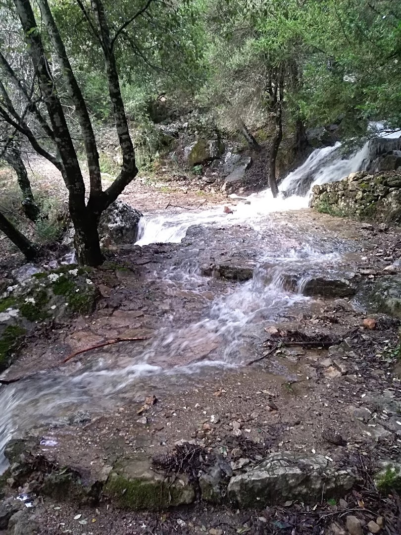 Su Stampu de su Túrrunu, Seulo