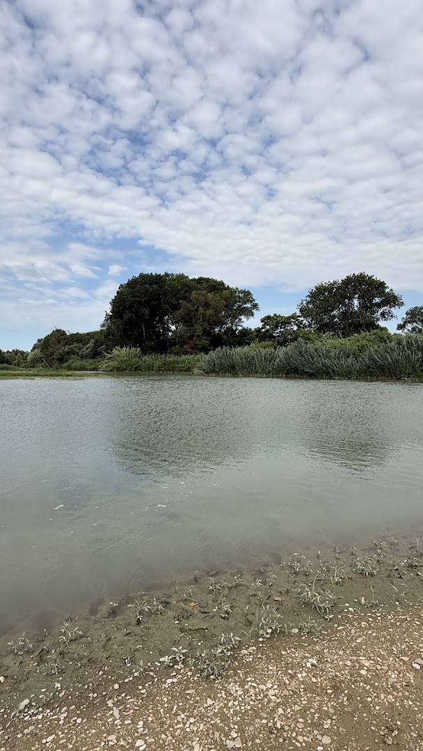 Sud-gillandia, Porto Sant'Elpidio