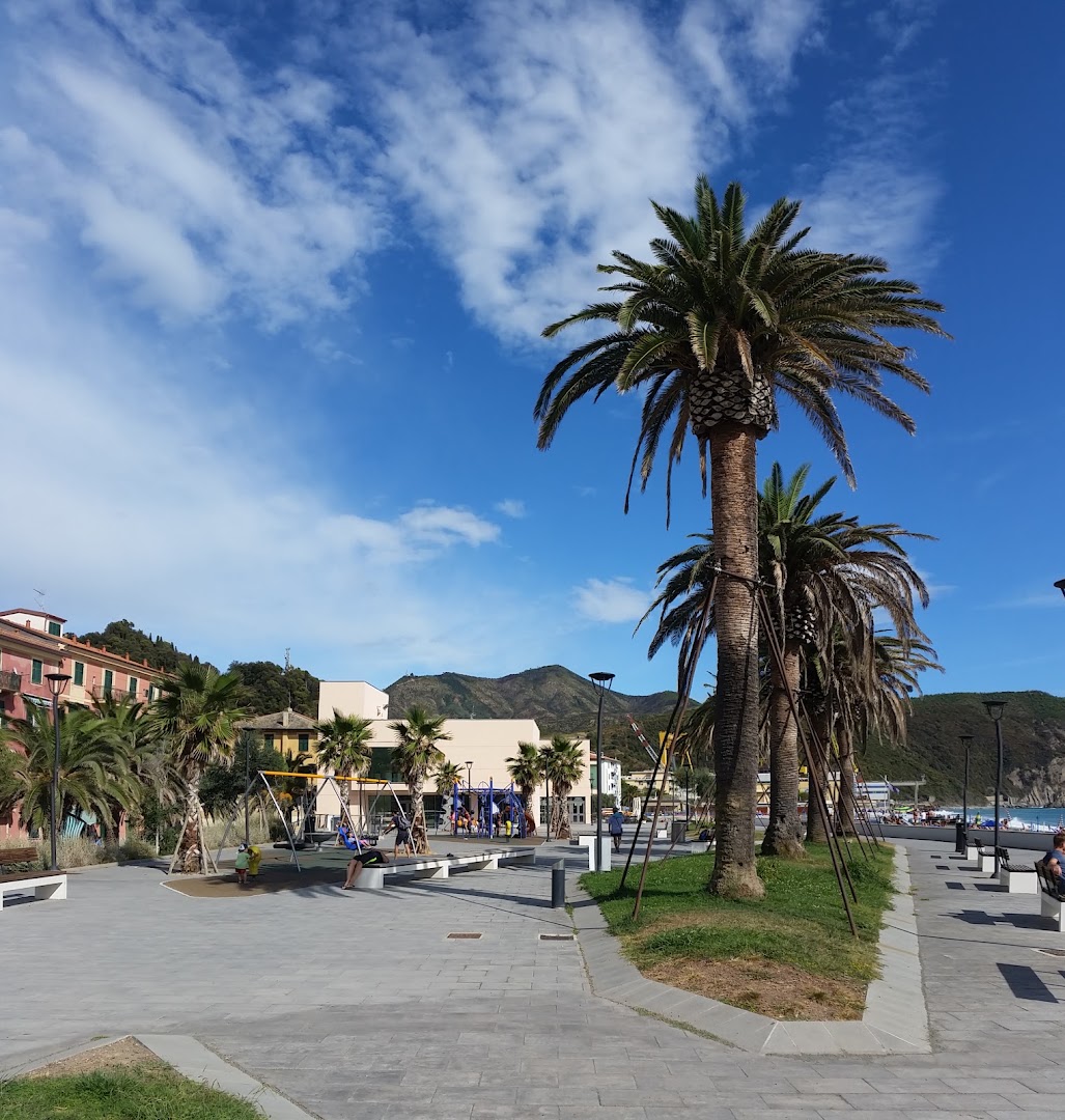 Sun Beach attrezzature per il tuo relax in spiaggia