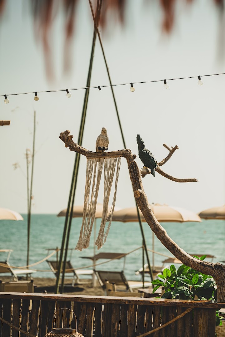 Sunset Beach club ladispoli