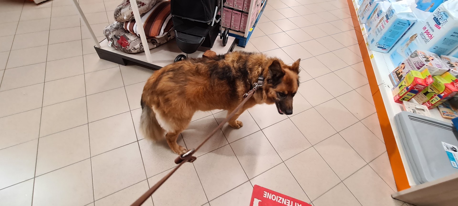Supermercati4Zampe - Cairo Montenotte