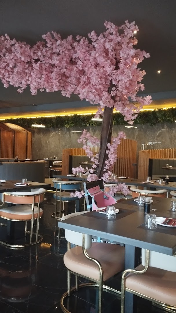 Sushi Stella