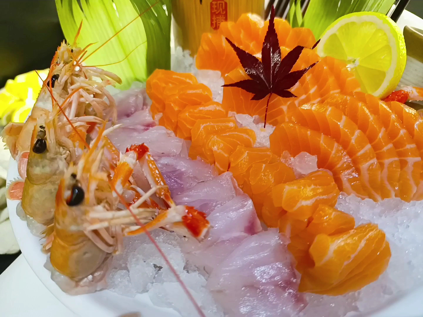 Sushi Viale
