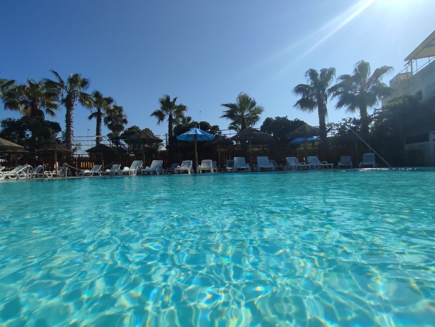 SWEET PARADISE RISTORANTE BAR PIZZERIA CON FORNO A LEGNA E PISCINE APERTE AL PUBBLICO ED EVENTI