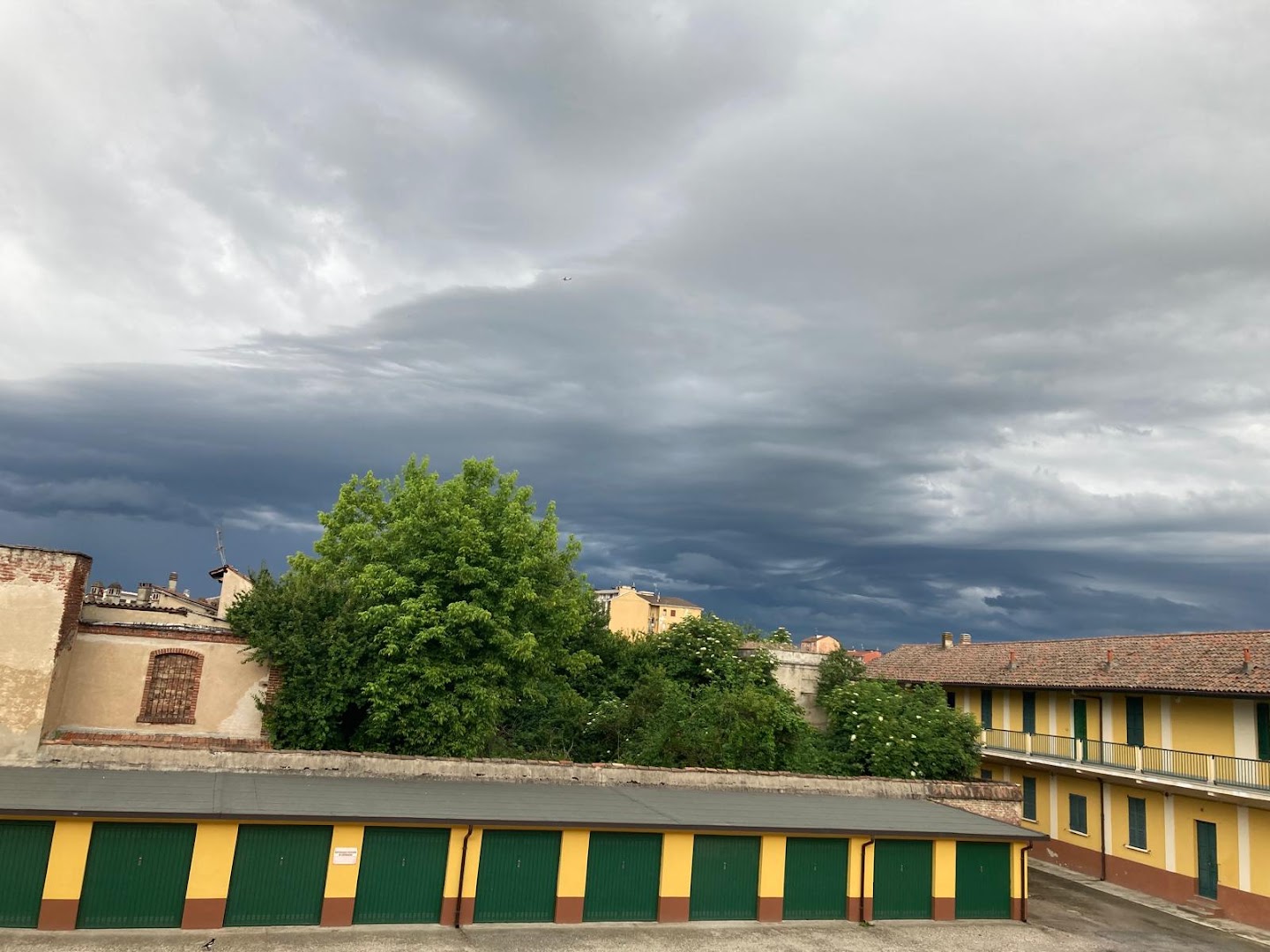T.I.MO. Mortara PV.