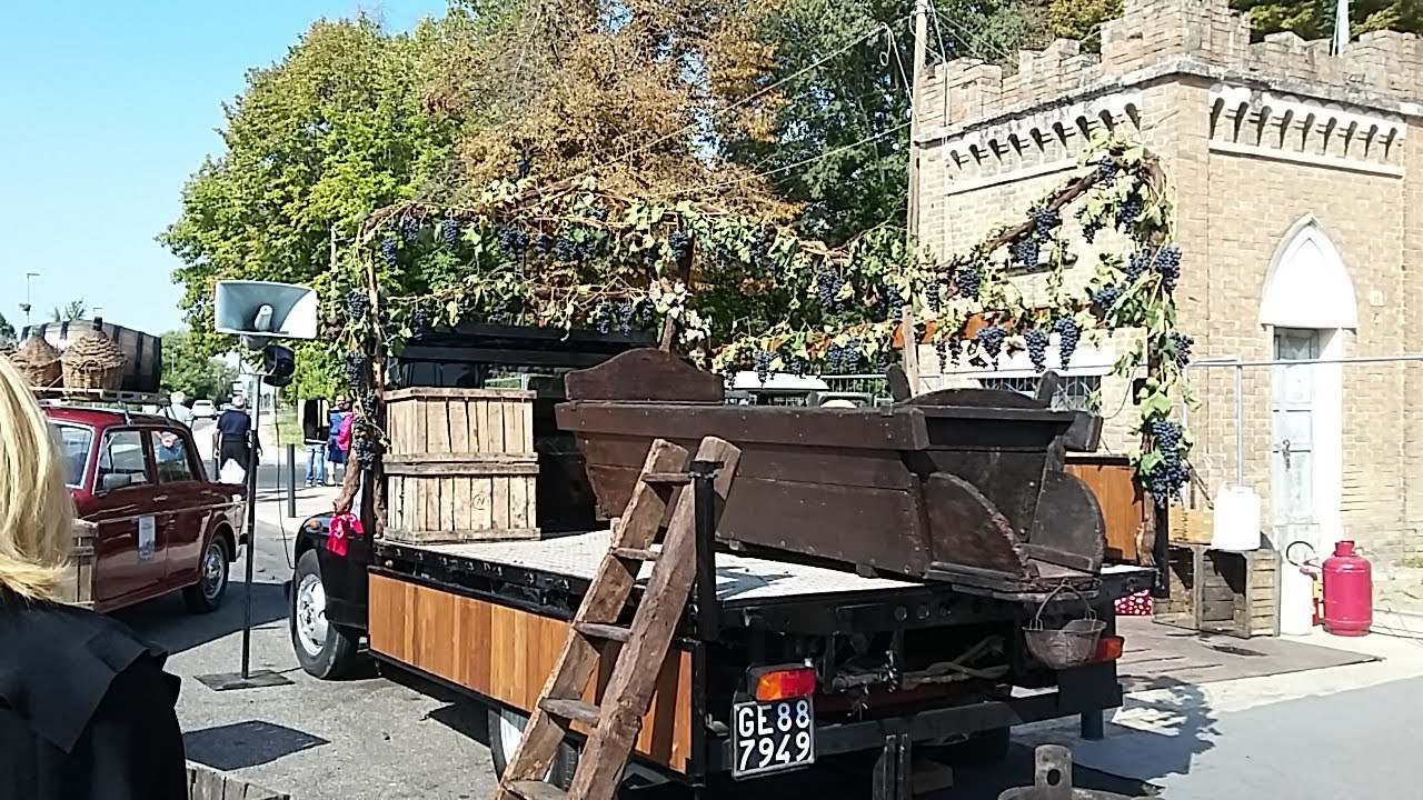 tacco 100 café