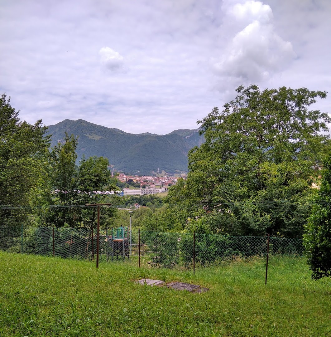 Taccolini