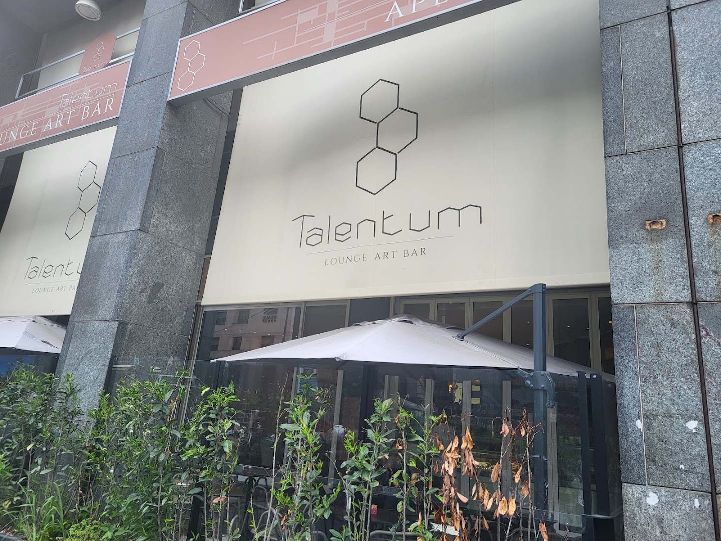 Talentum Lounge Art Bar