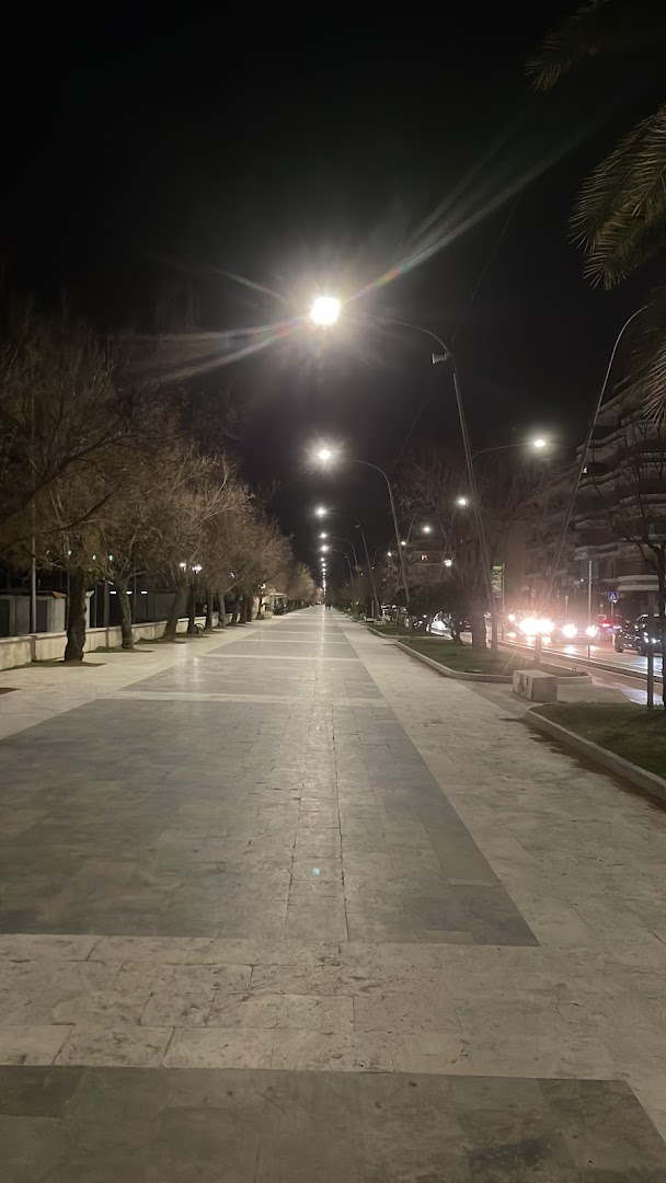 Tartarughino Sas E C.