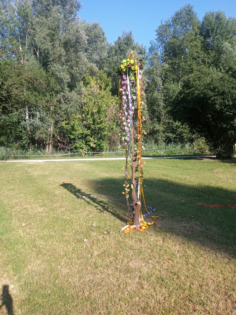 Tarvisium Celtica