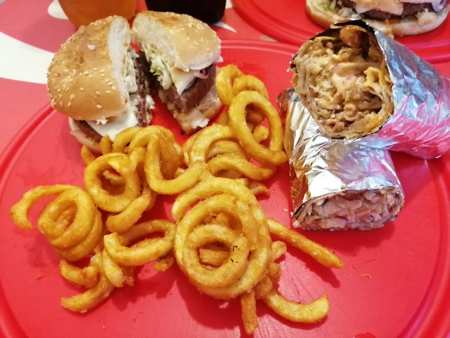 Tasty Meal (Kebab, Burgers, Pizzas and Rice)