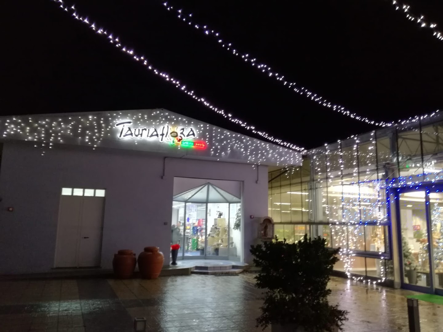 Tauriaflora Snc