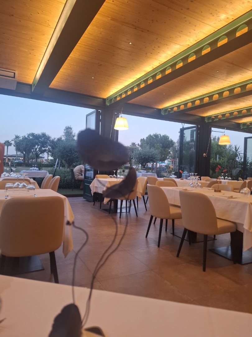 Taverna 41