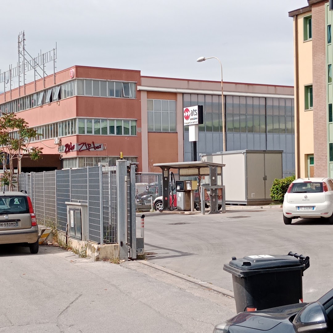 Tavolamica | Molosud
