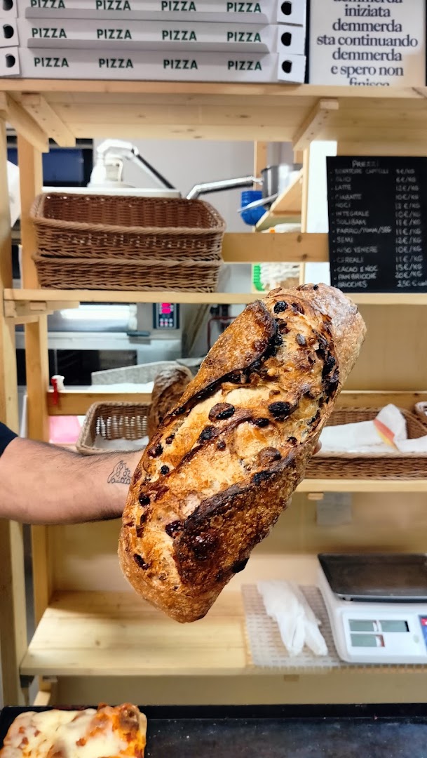 Teglia Forno Urbano
