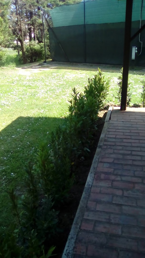 Tennis Club Montevarchi, Montevarchi