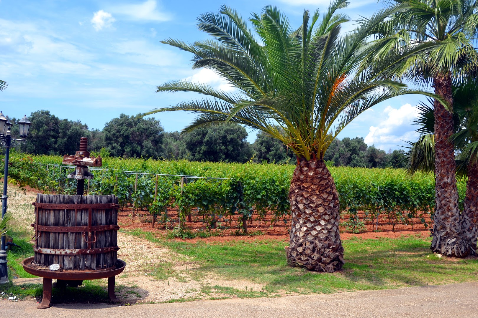 Tenuta Annibale