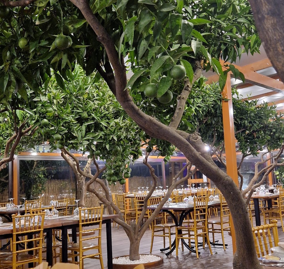 Tenuta Apicella