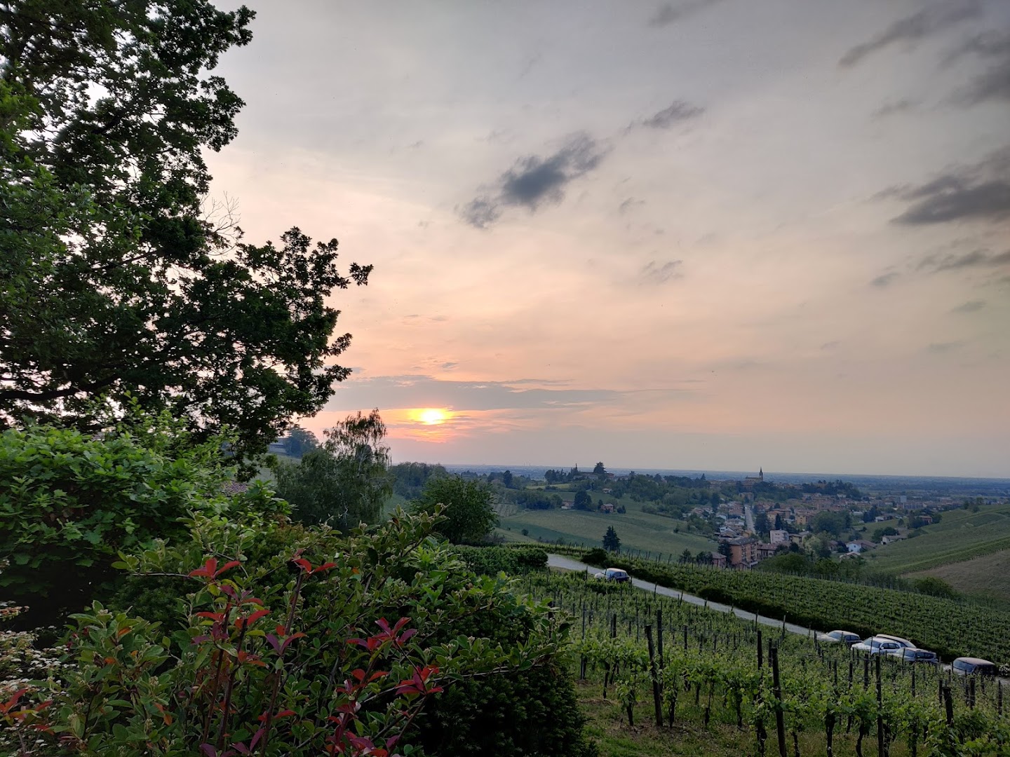 Tenuta Frecciarossa