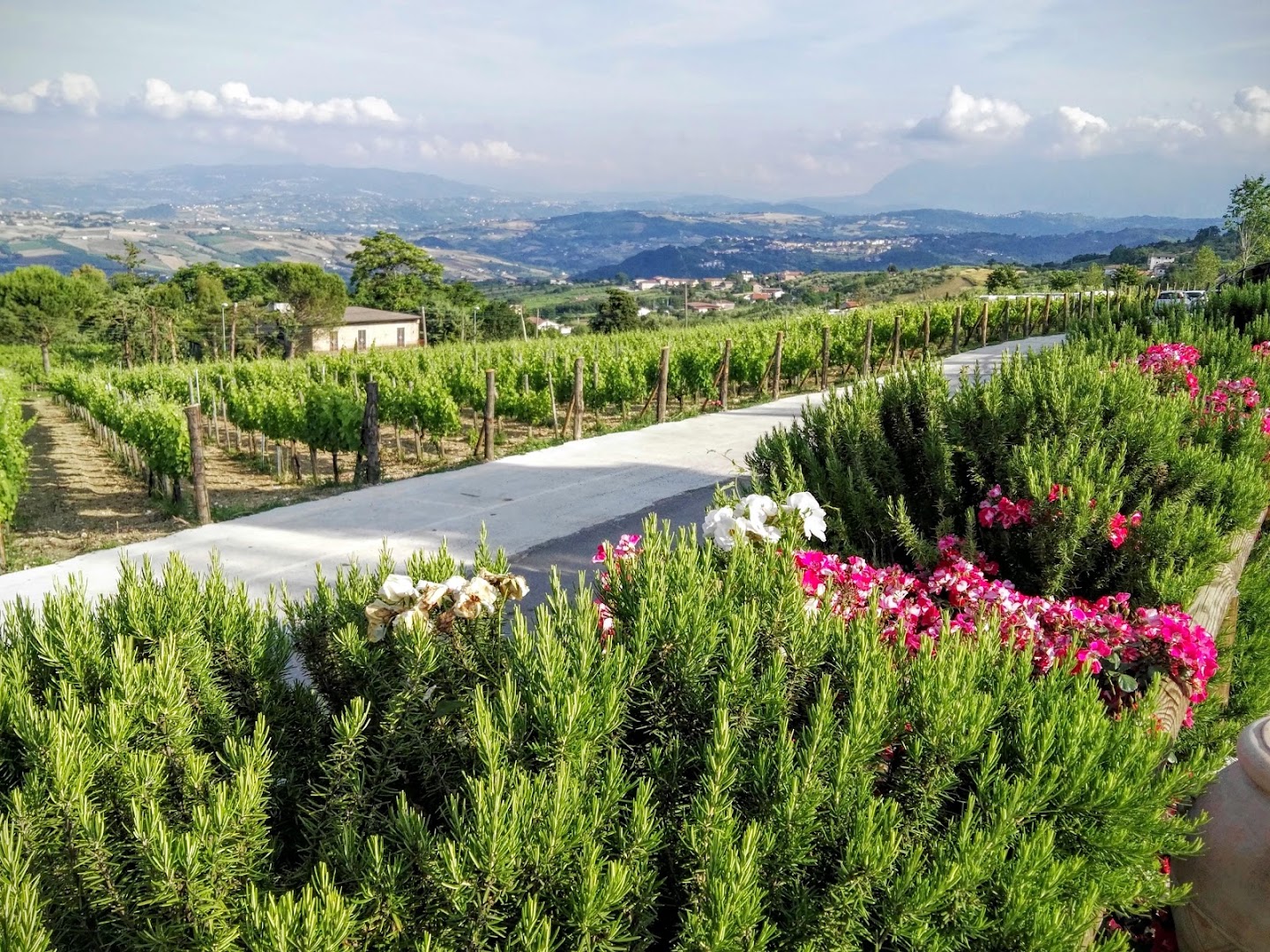 Tenuta La Fortezza - Eventi e Ricevimenti