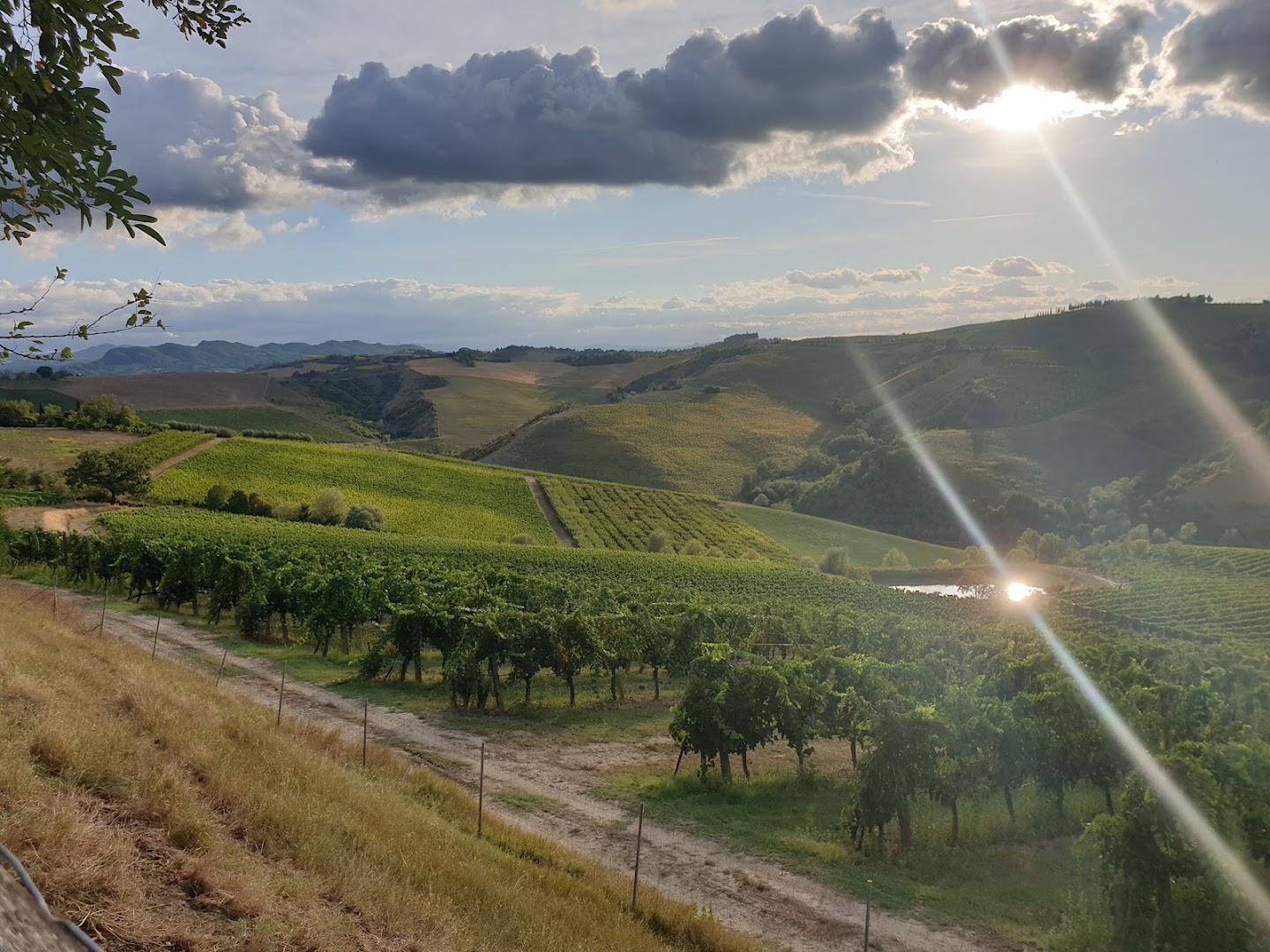 Tenuta Nasano
