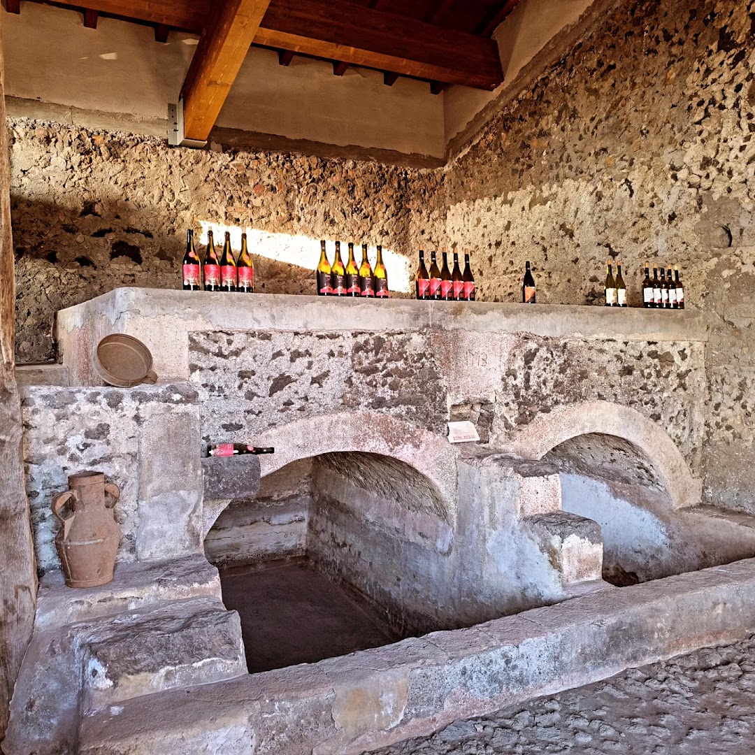TENUTA PAPALE