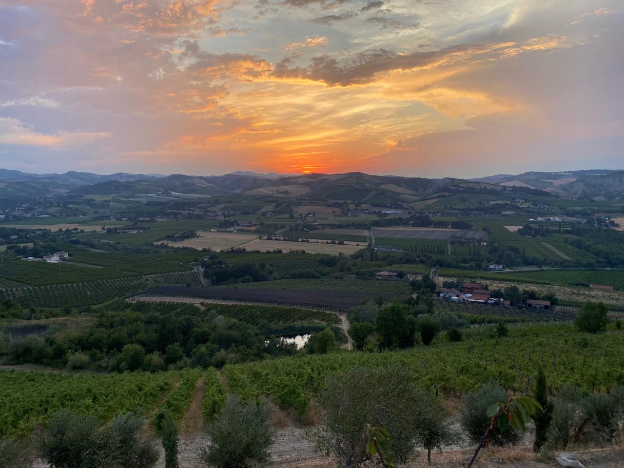 Tenuta Poggio Pollino