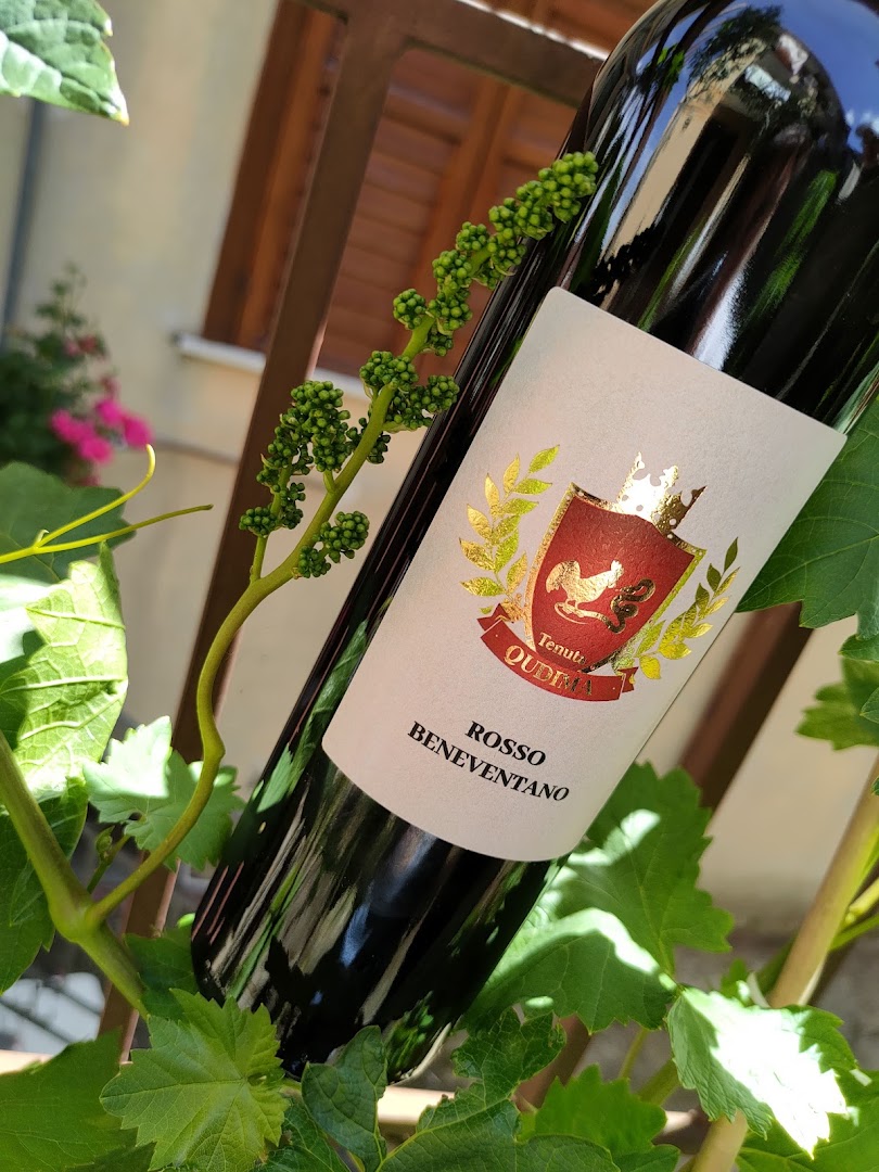 Tenuta Qudima