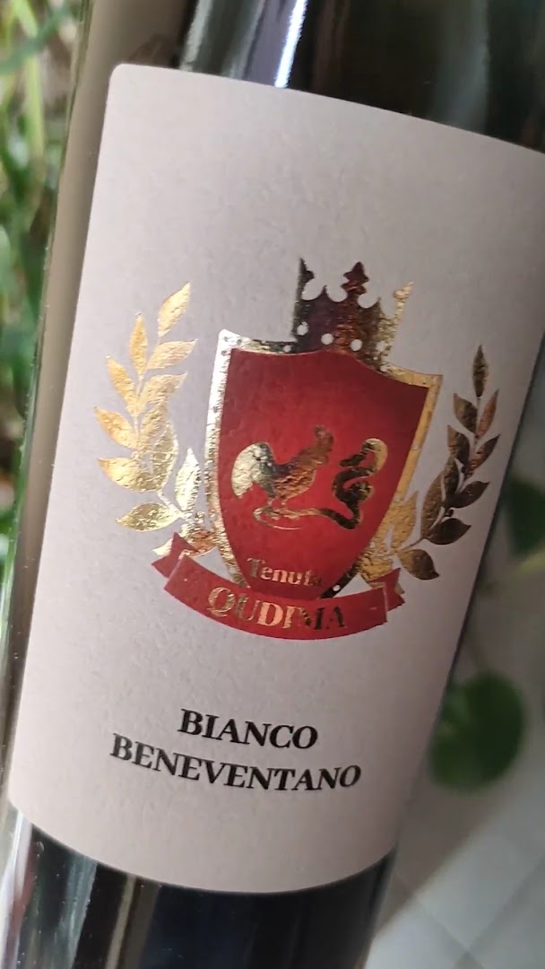 Tenuta Qudima