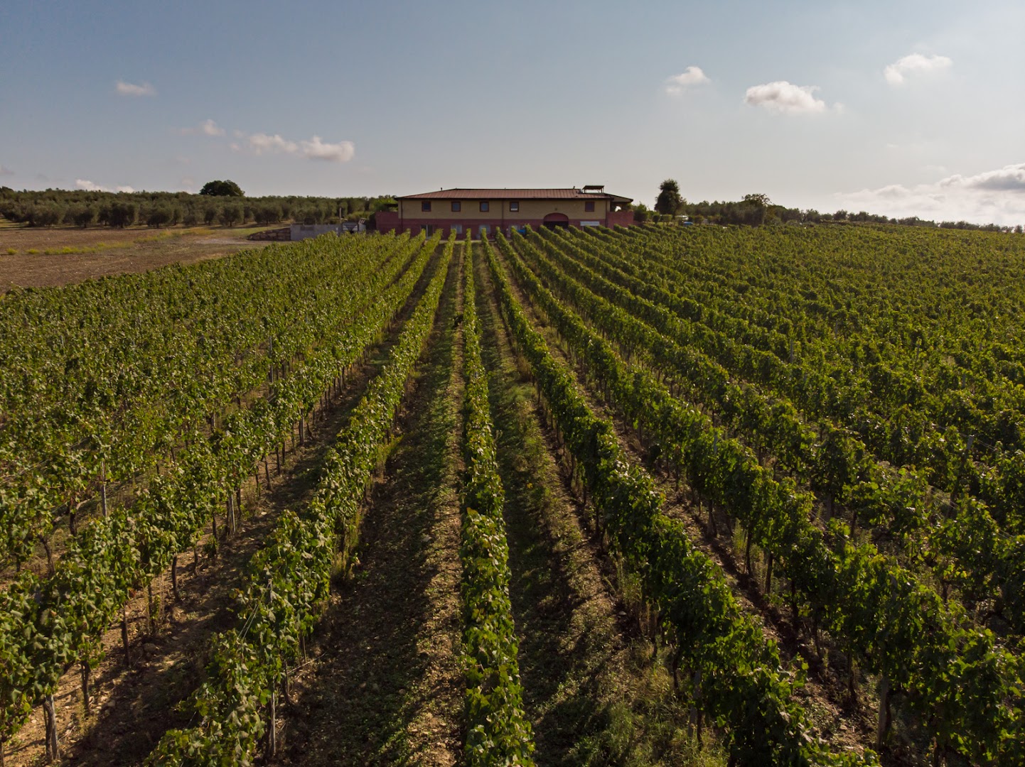 Tenuta Querciarossa