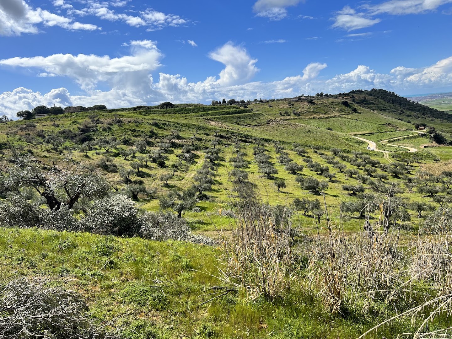 Tenuta Ragusa
