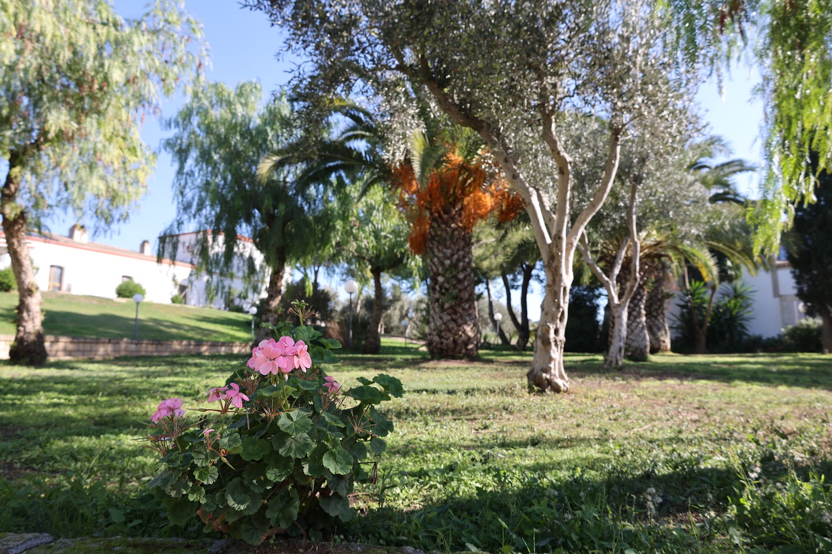 Tenuta Santa Lucia