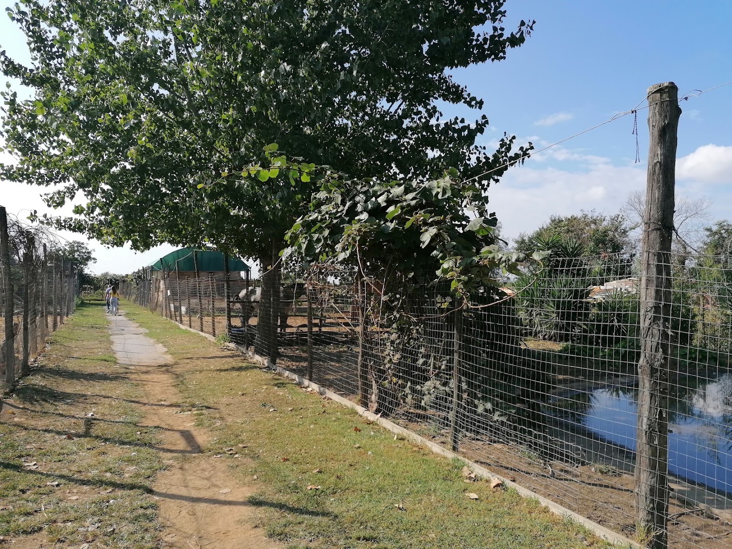 Tenuta Tambaro