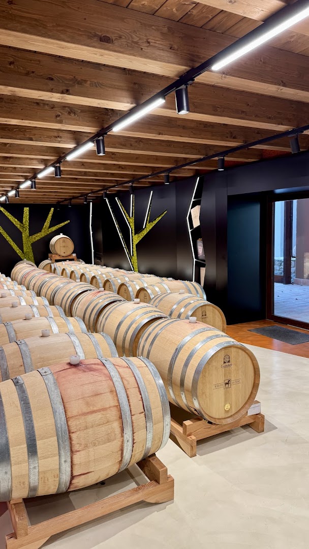 Tenuta Ulisse Winery
