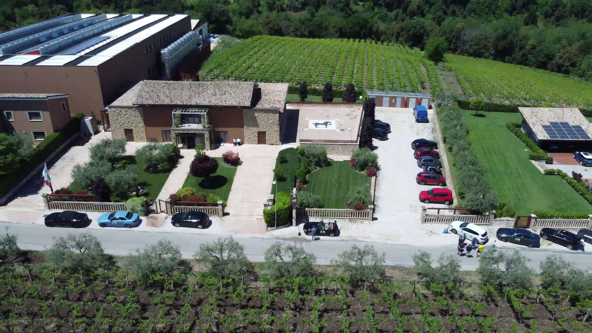 Tenuta Ulisse Winery