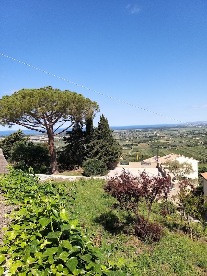 Castagneto C.Cci N