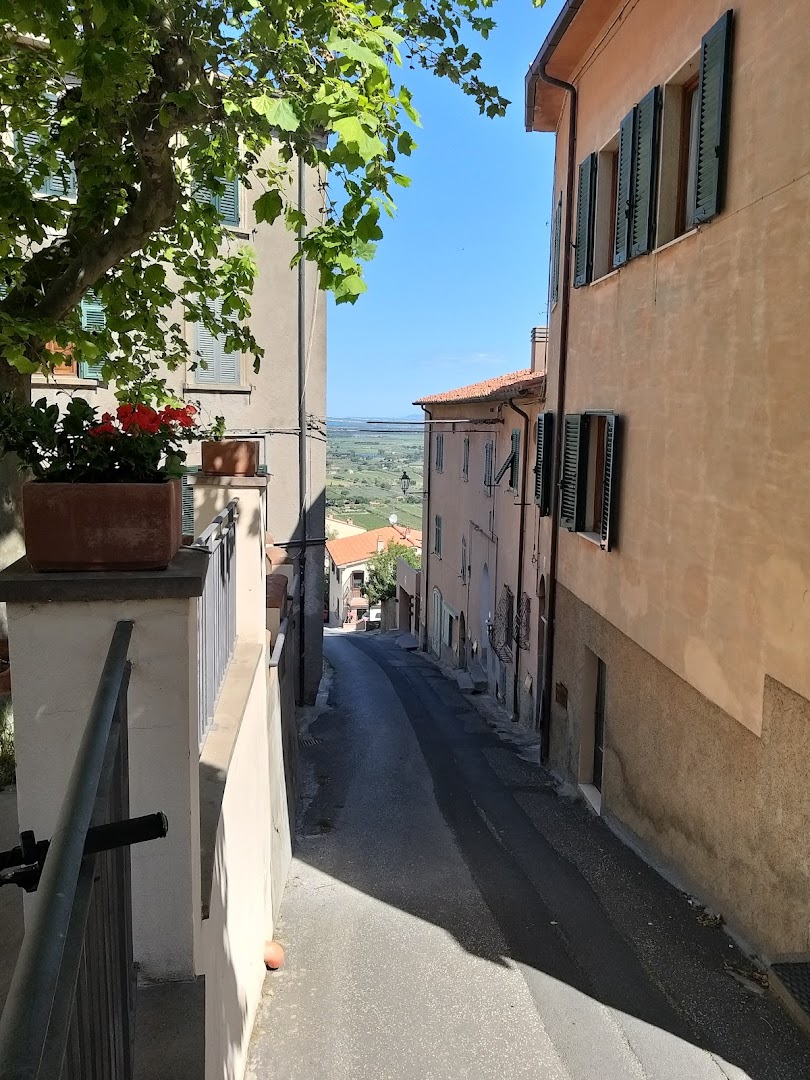 Castagneto C.Cci N