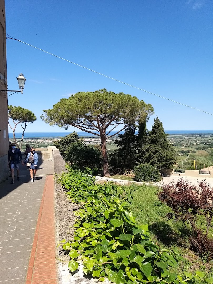 Castagneto C.Cci N