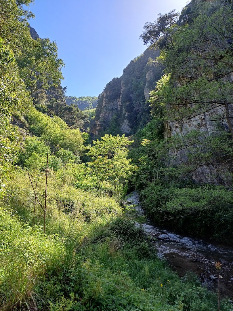 Terme Luigiane