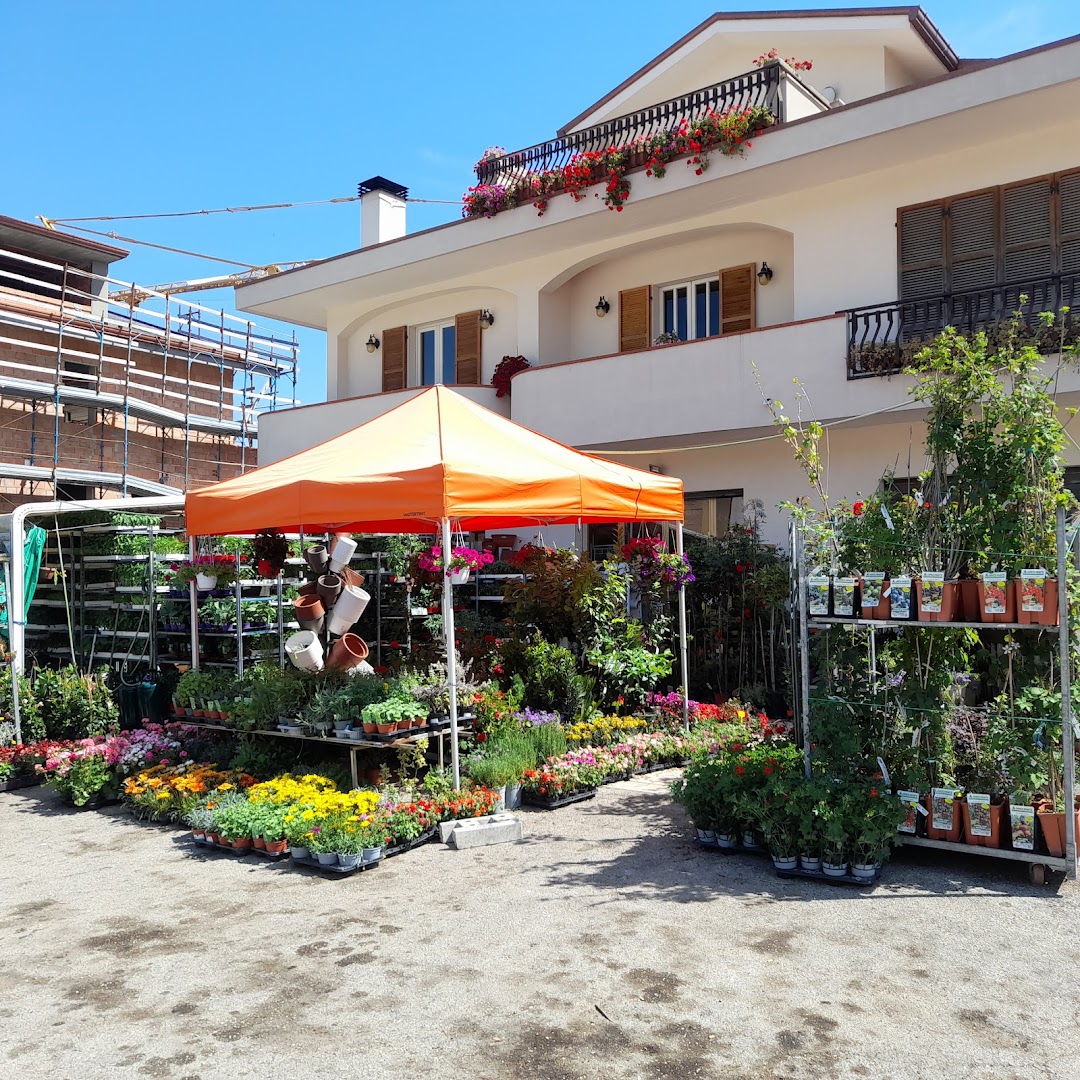 Terra Felice Di IEZZI MOIRA, Bellante