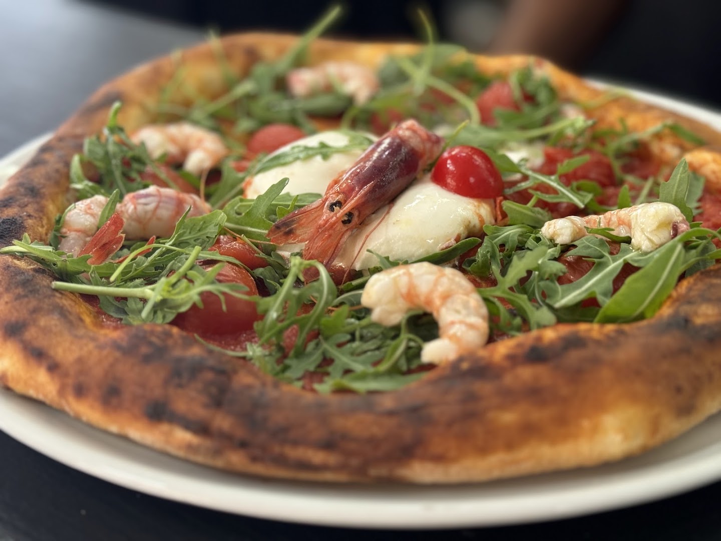 TerraMia Pizza e Passione