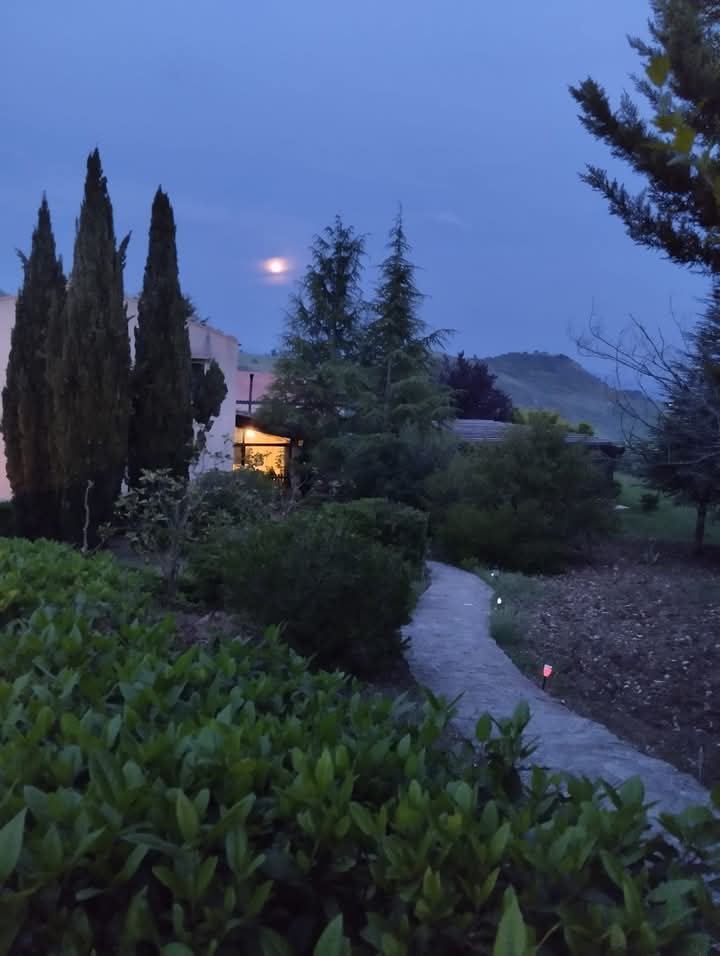 Terravecchia